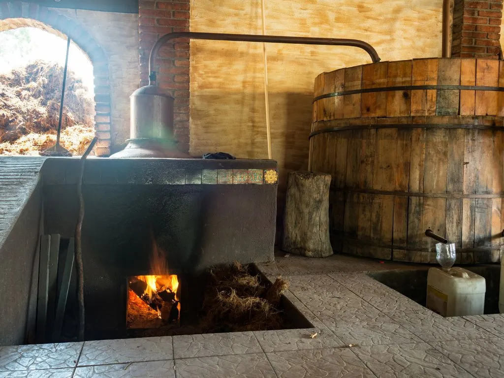 Artisanal mezcal production